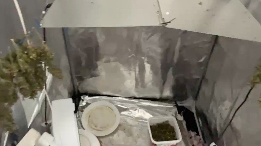 Evinin Tuvaletinde Uyuşturucu Yetiştiren Şüpheli Suçüstü Yakalandı