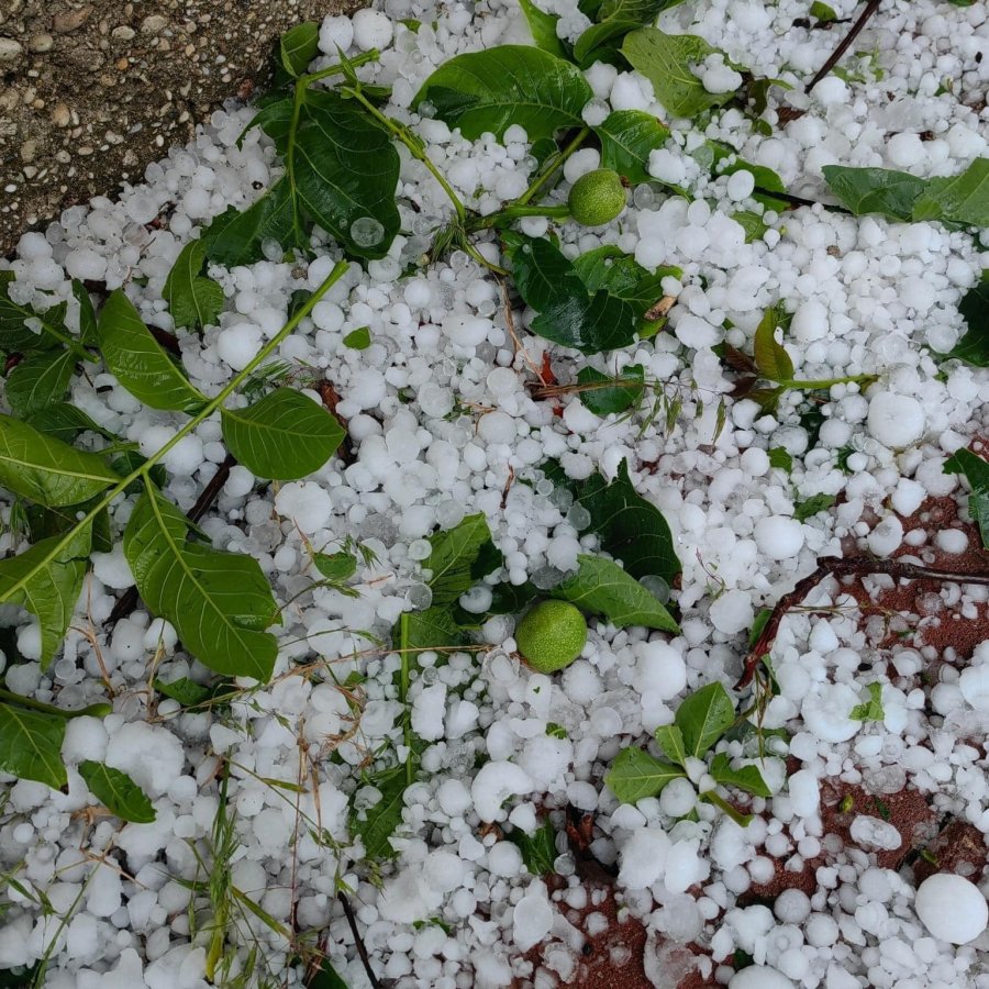 Konya’da Yağışlar Rekolteyi Arttırıyor