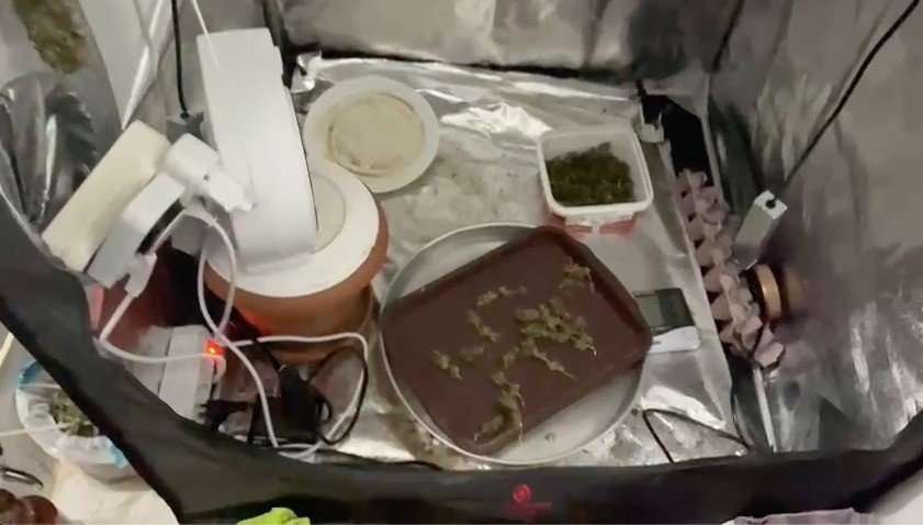 Evinin Tuvaletinde Uyuşturucu Yetiştiren Şüpheli Suçüstü Yakalandı