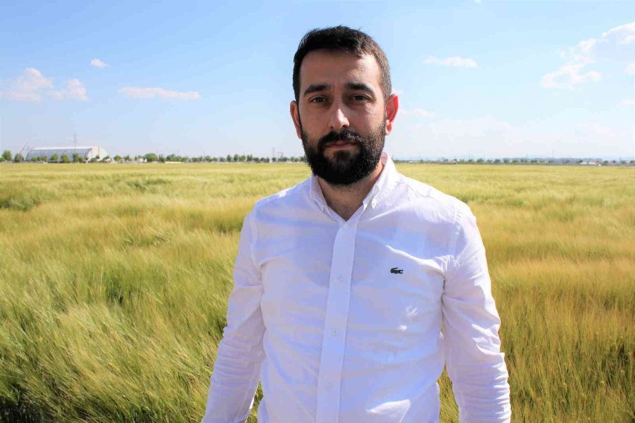 Konya’da Yağışlar Rekolteyi Arttırıyor