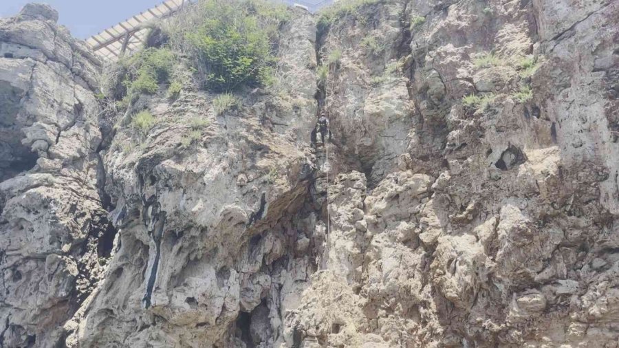 Antalya’da Falezlerde Nefes Kesen Kedi Kurtarma Operasyonu