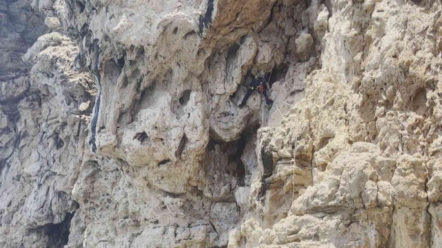 Antalya’da Falezlerde Nefes Kesen Kedi Kurtarma Operasyonu