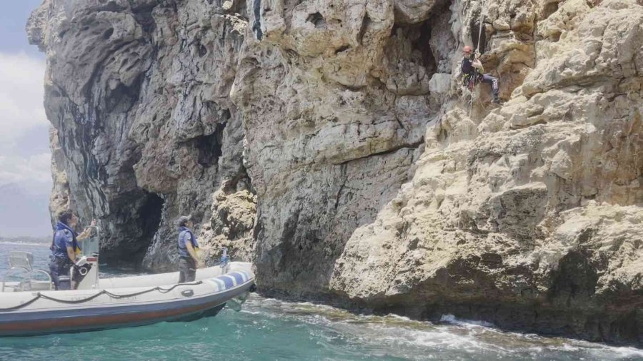 Antalya’da Falezlerde Nefes Kesen Kedi Kurtarma Operasyonu