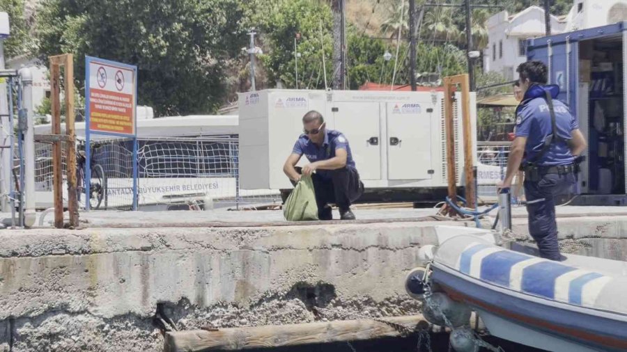 Antalya’da Falezlerde Nefes Kesen Kedi Kurtarma Operasyonu