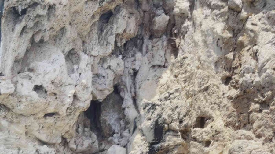 Antalya’da Falezlerde Nefes Kesen Kedi Kurtarma Operasyonu