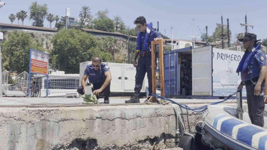 Antalya’da Falezlerde Nefes Kesen Kedi Kurtarma Operasyonu