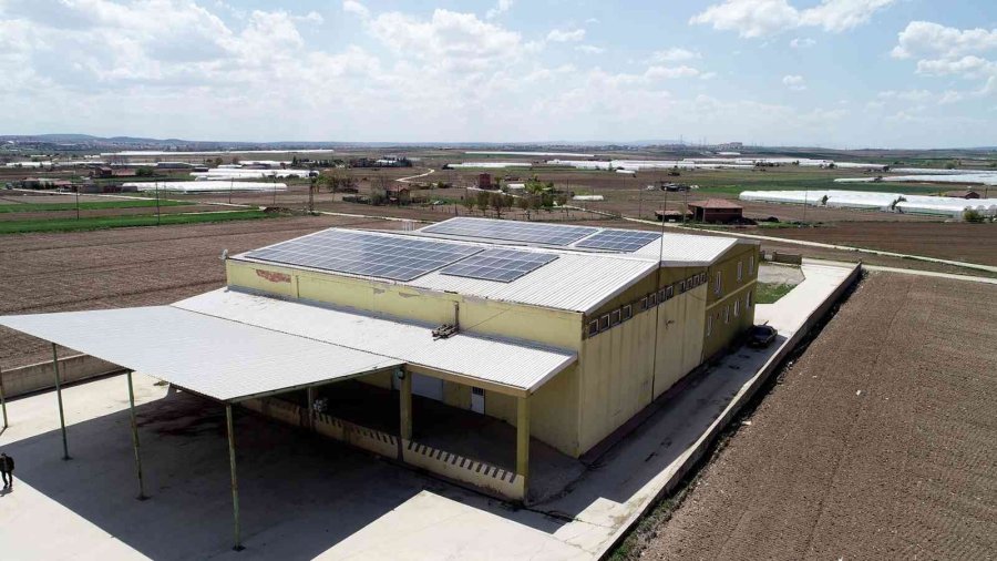 Soğuk Hava Deposu Da Temiz Enerji Üretmeye Başladı