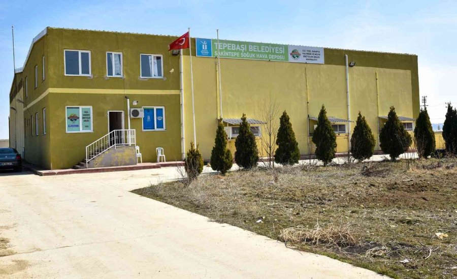 Soğuk Hava Deposu Da Temiz Enerji Üretmeye Başladı