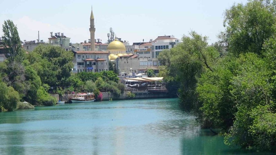 Manavgat Irmağı’nda Balıkçıl İle Yılan Balığının Mücadelesi