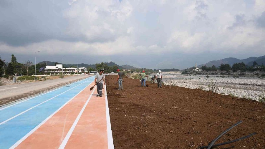 Ağva Deresi Kenarındaki Çalışmalarda Sona Geliniyor