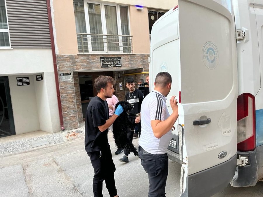 Boş Dükkâna Bağlanan Köpek Hayvan Severlerin İhbarıyla Kurtarıldı