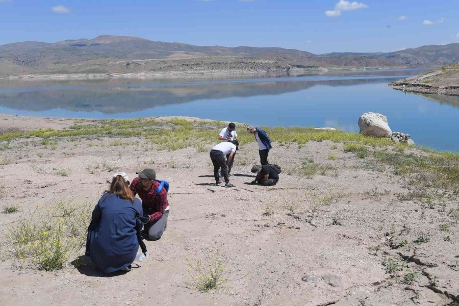 Kayseri Büyükşehir’in 7,5 Milyon Yıllık Fosil Çalışmaları Dünyanın İlgisini Çekiyor