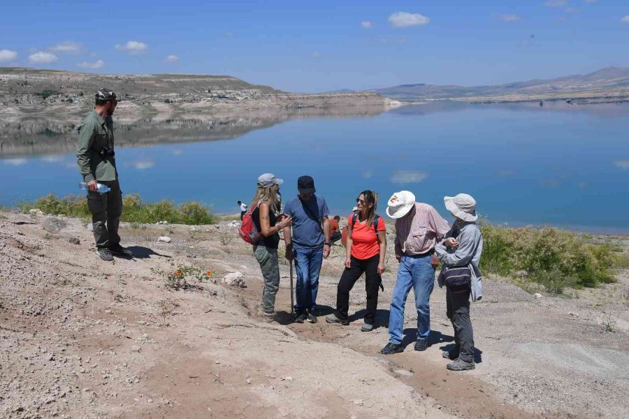 Kayseri Büyükşehir’in 7,5 Milyon Yıllık Fosil Çalışmaları Dünyanın İlgisini Çekiyor