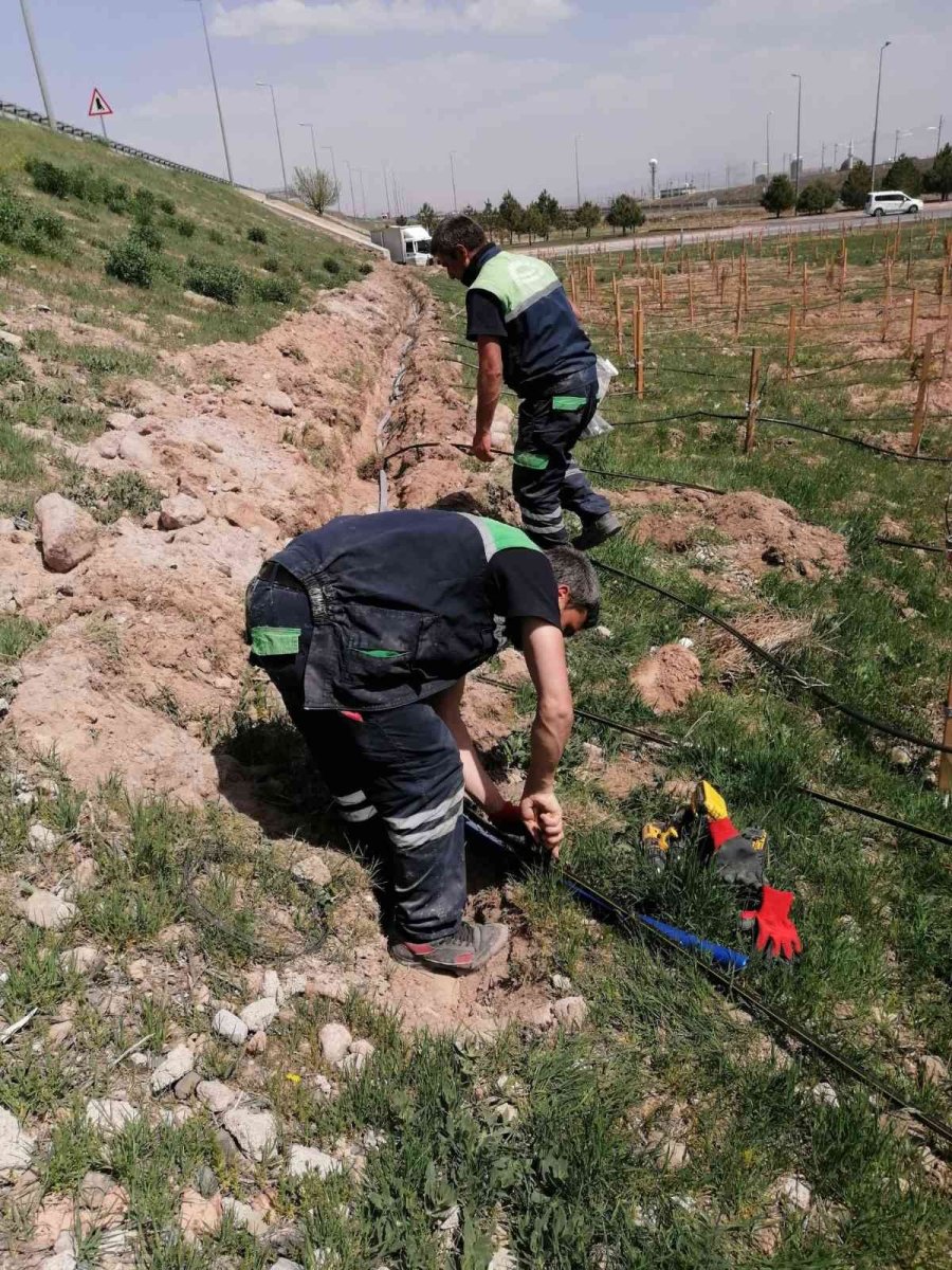 Büyükşehir’den 200 Bin Metrekare Alana Yağmurlama Ve Damla Sulama Sistemi