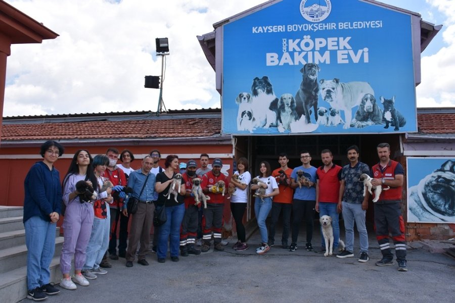 Kocasinan Belediyesi’nin Küçük Dostlar Çalışmalarına Liseli Öğrencilerinden Destek
