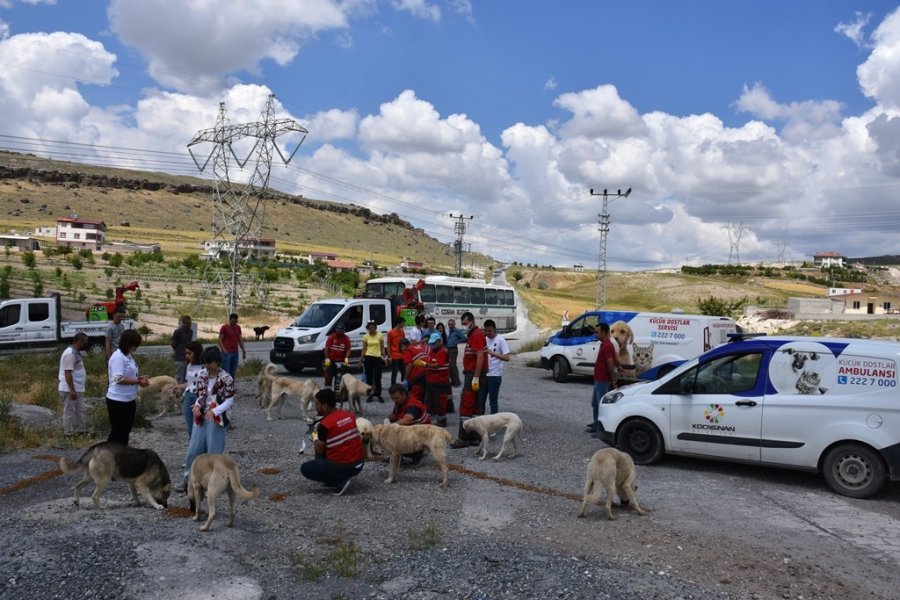 Kocasinan Belediyesi’nin Küçük Dostlar Çalışmalarına Liseli Öğrencilerinden Destek