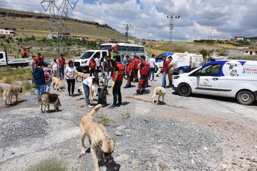 Kocasinan Belediyesi’nin Küçük Dostlar Çalışmalarına Liseli Öğrencilerinden Destek