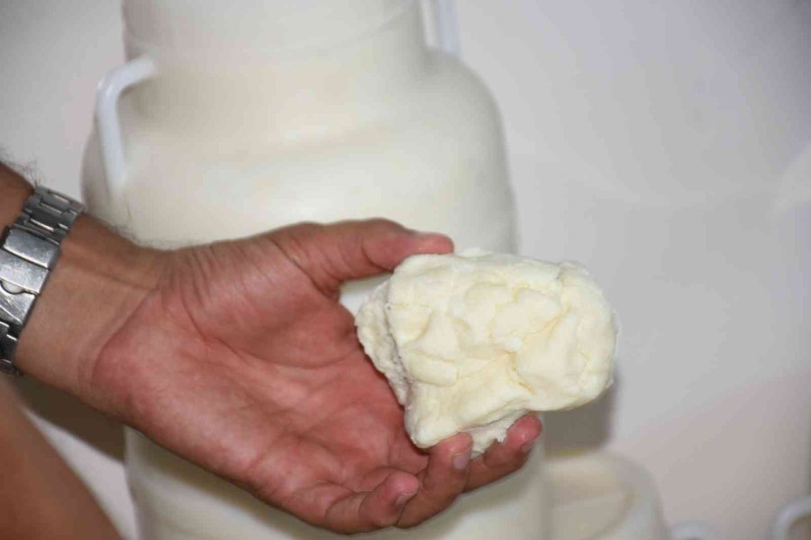 Tarsus’ta Sağlığa Zararlı 830 Kilogram Peynir Ele Geçirildi