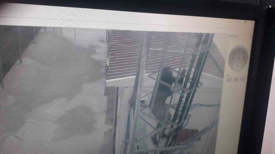 Elindeki Dövme Hırsızı Ele Verdi