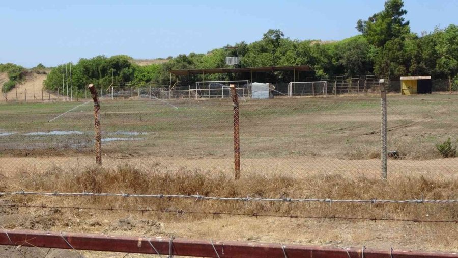 Side Atatürk Stadı Bakıma Alındı
