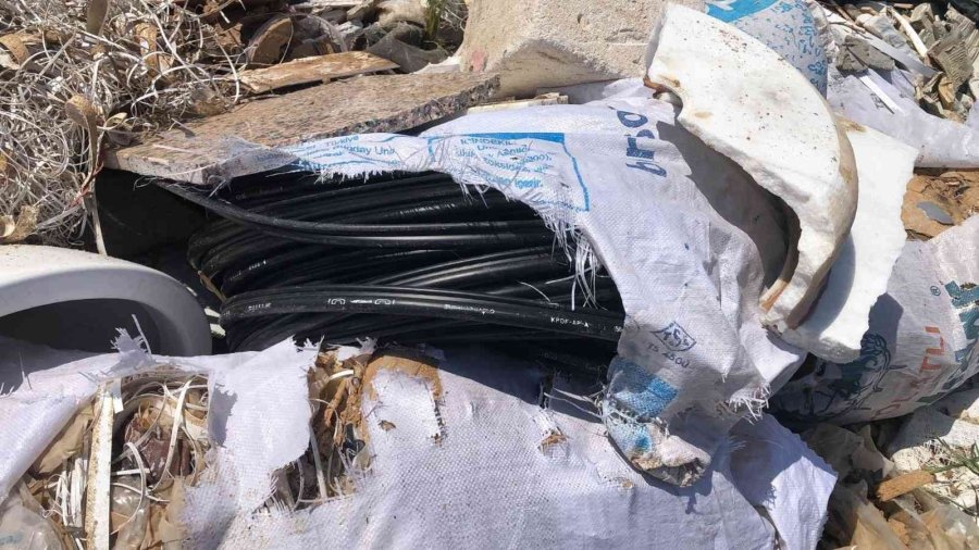 Elindeki Dövme Hırsızı Ele Verdi