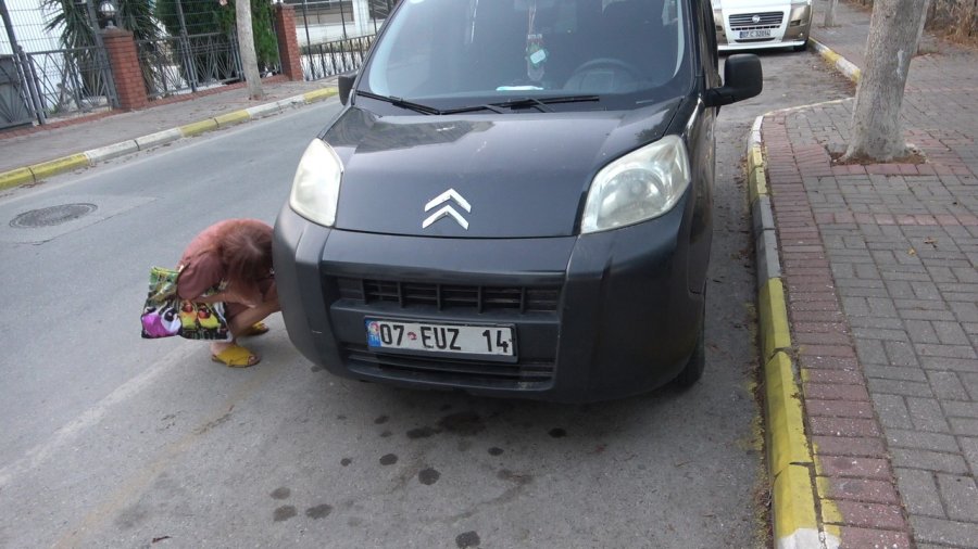 Aracın Kaputuna Giren Kediyi, Kedi Sesiyle Kurtardılar