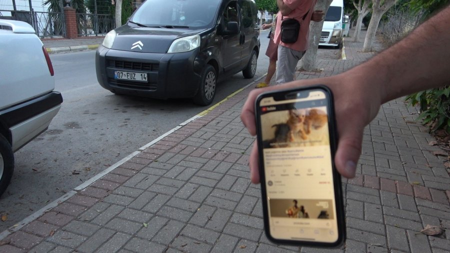 Aracın Kaputuna Giren Kediyi, Kedi Sesiyle Kurtardılar