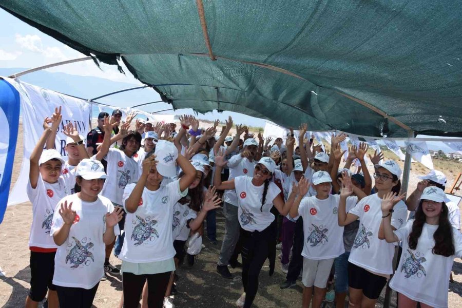 Akdeniz’deki Ekosistemin Kalbi: Caretta Carettalar