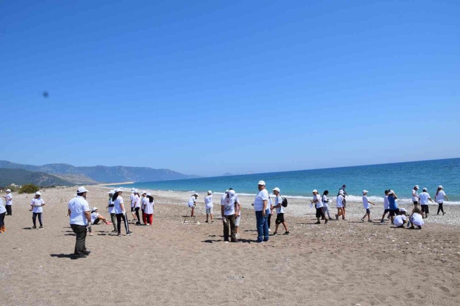 Akdeniz’deki Ekosistemin Kalbi: Caretta Carettalar