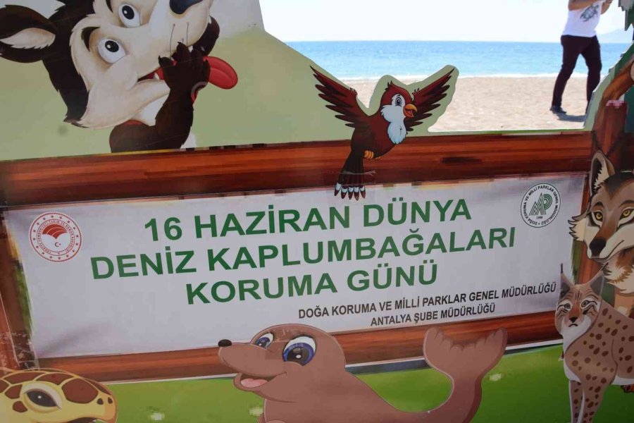 Akdeniz’deki Ekosistemin Kalbi: Caretta Carettalar