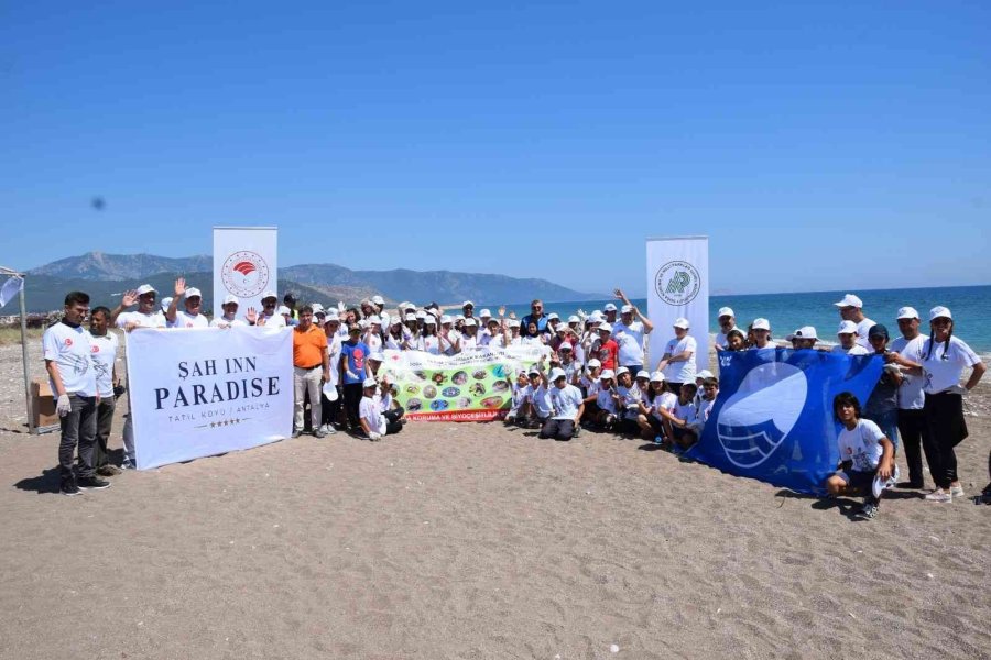 Akdeniz’deki Ekosistemin Kalbi: Caretta Carettalar