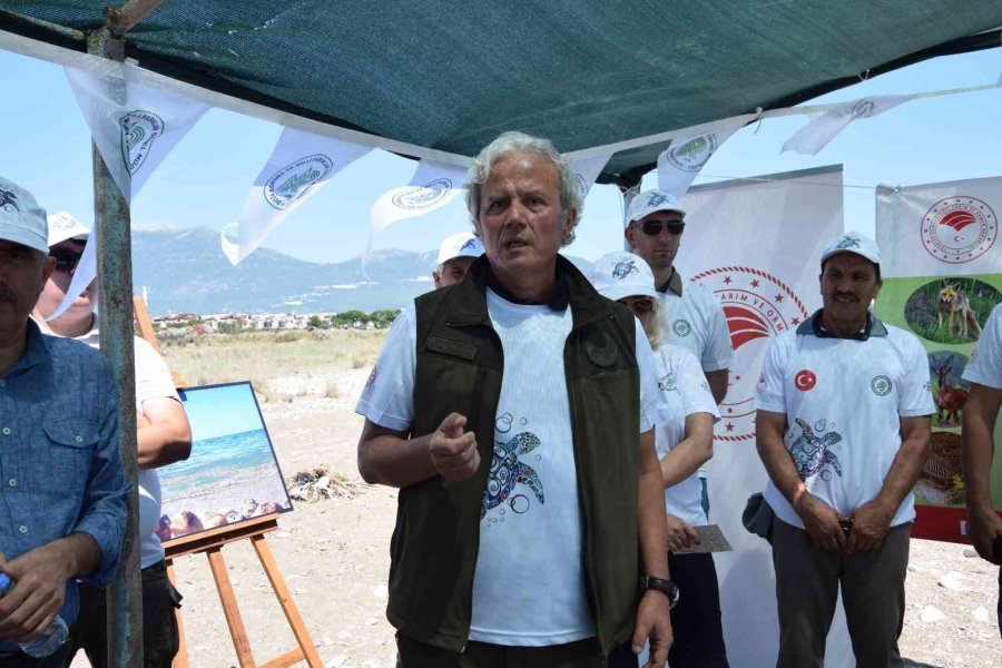 Akdeniz’deki Ekosistemin Kalbi: Caretta Carettalar