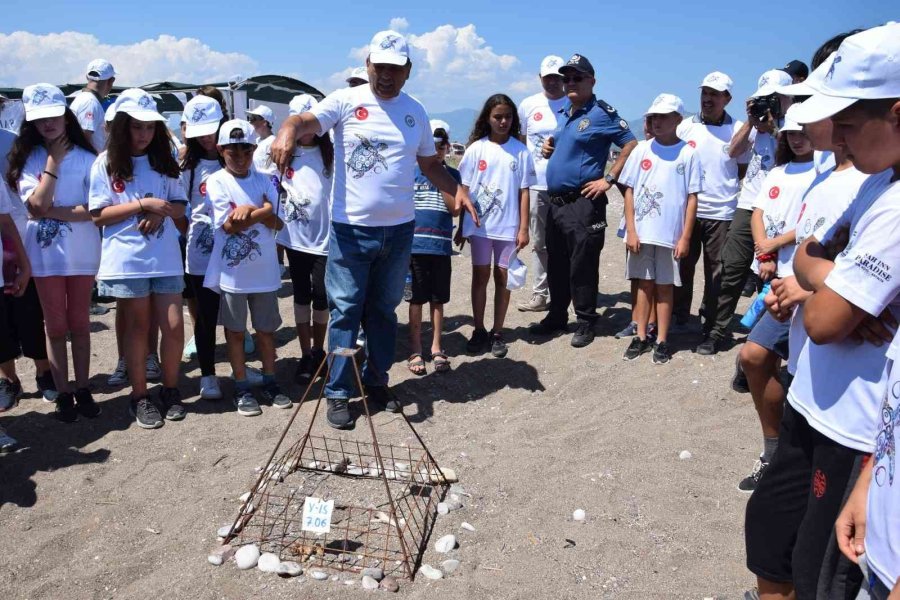 Akdeniz’deki Ekosistemin Kalbi: Caretta Carettalar