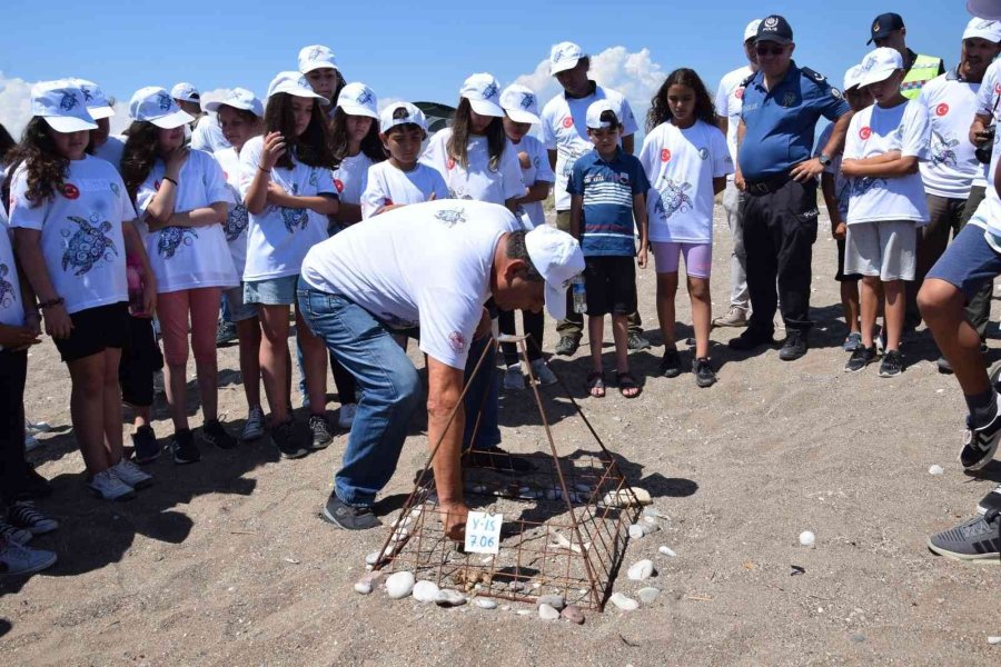 Akdeniz’deki Ekosistemin Kalbi: Caretta Carettalar