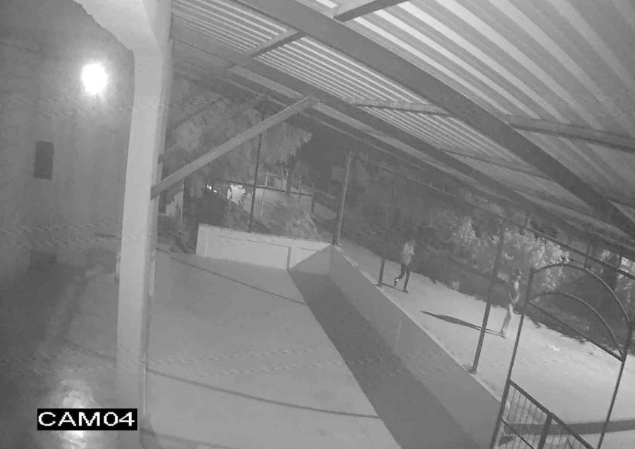 Köylünün Patpat Motorunu Çalan Hırsızlar Kameralara Yakalandı