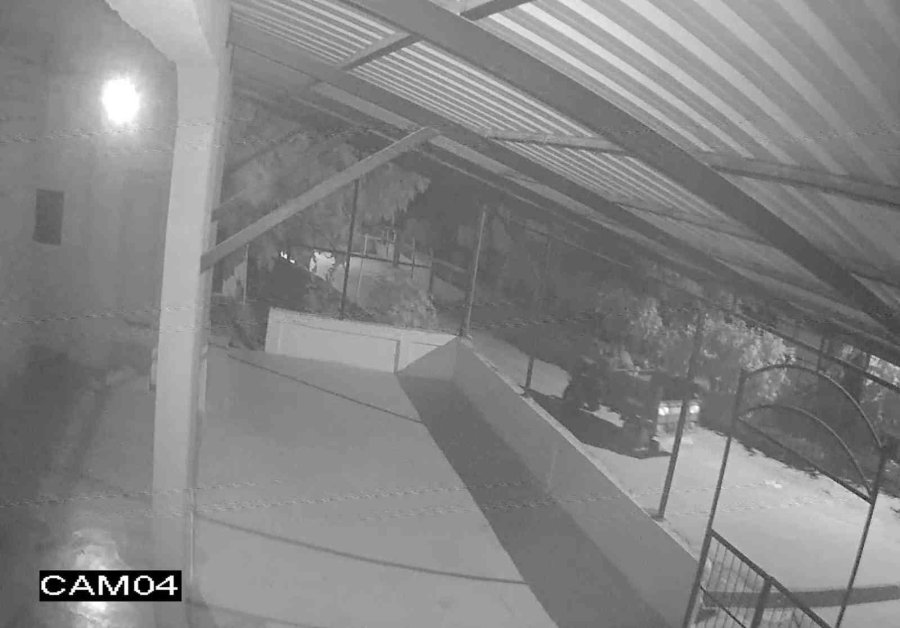 Köylünün Patpat Motorunu Çalan Hırsızlar Kameralara Yakalandı