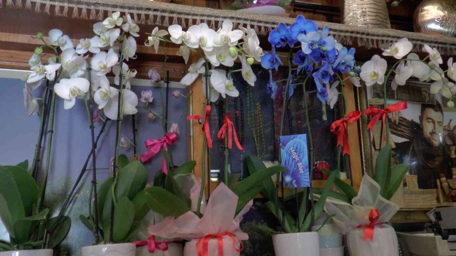 Çiçekçilerde Babalar Günü Sessizliği