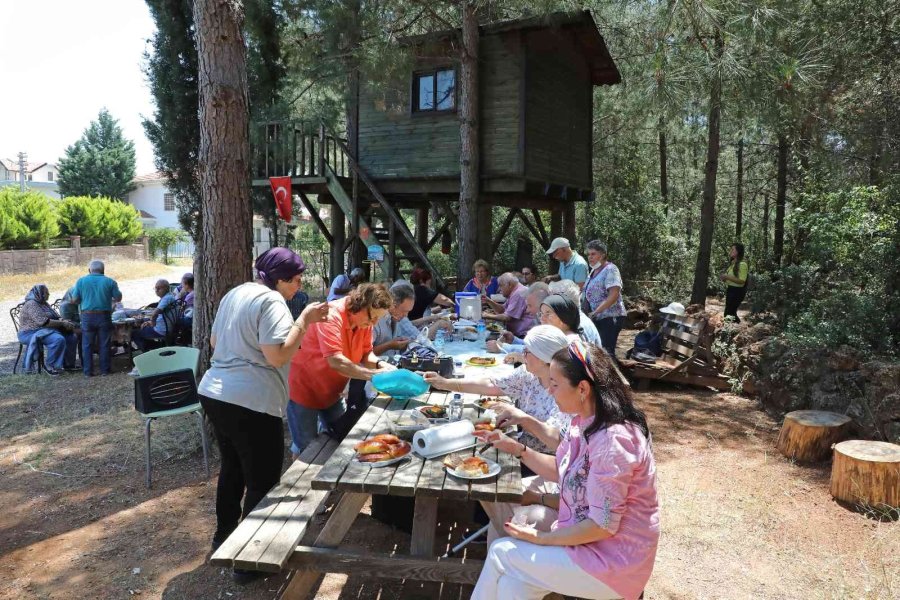 Parkinson Hastaları Piknikte Moral Buldu