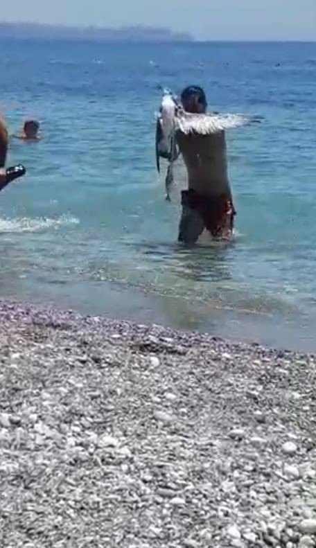 Hayalet Ağa Takılan Martıya Hayat Kurtaran Müdahale