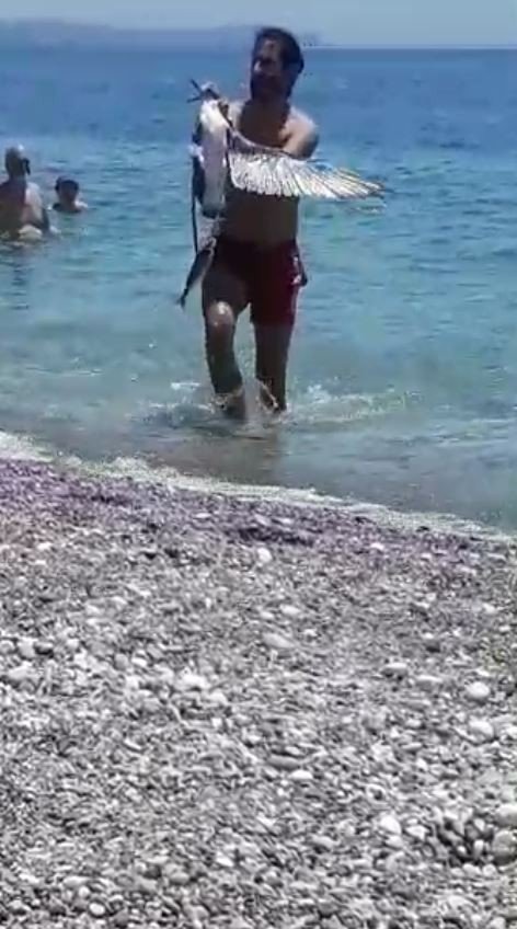 Hayalet Ağa Takılan Martıya Hayat Kurtaran Müdahale