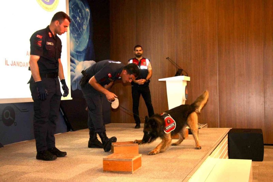 “en İyi Narkotik Polisi: Anne” Projesinde 2 Bin Anne Ve Anne Adayı Bilgilendirildi