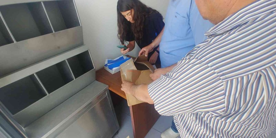 Yaralı Leylek Ve Yavru Kerkenez Emin Ellerde