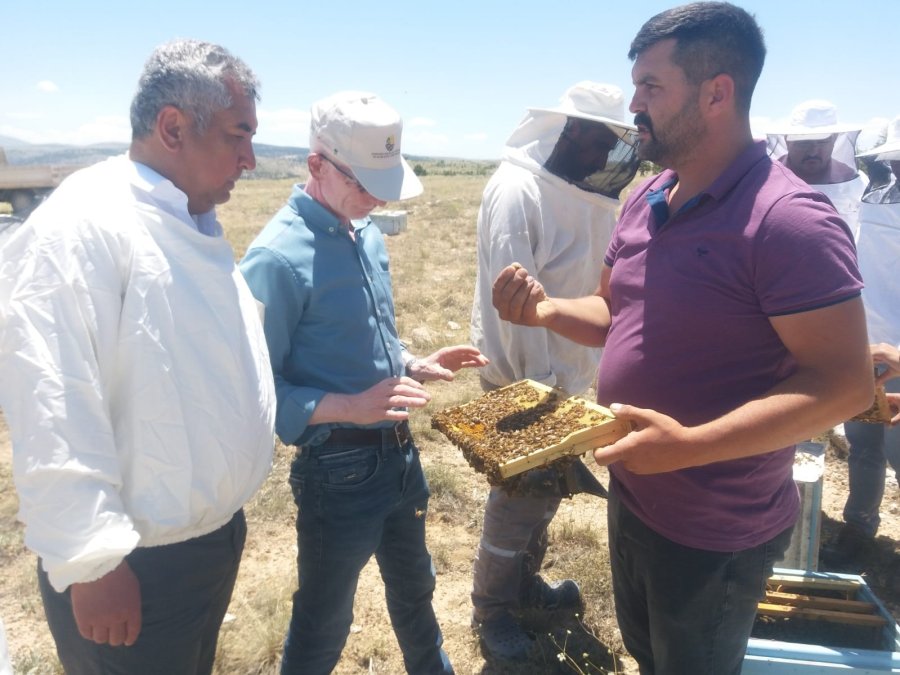 Karaman’da Arıcılar Sezonu Açtı
