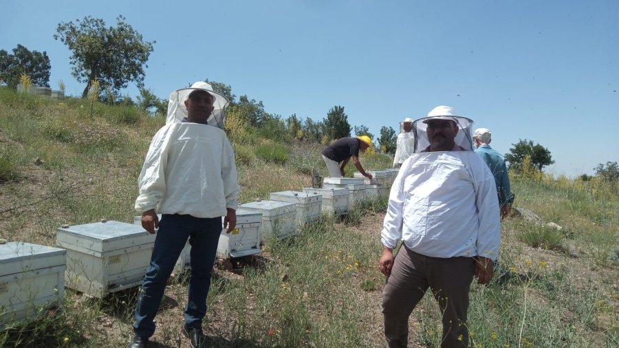 Karaman’da Arıcılar Sezonu Açtı
