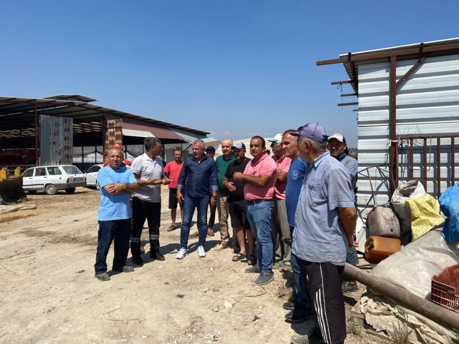 Manavgat’ta Besihanede 3 Bin Ot Balyası Yandı