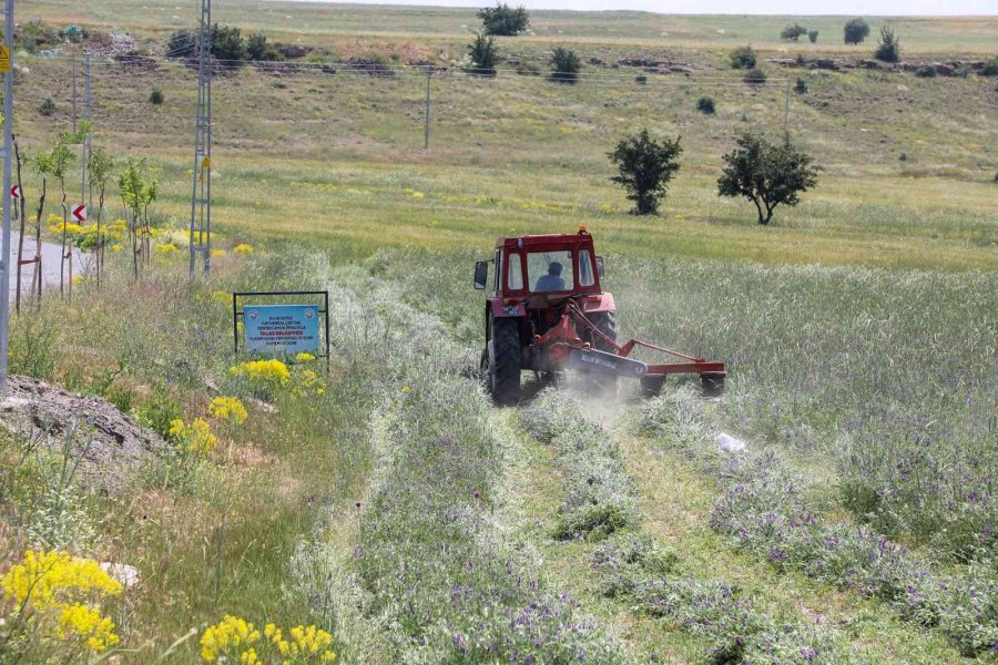Çiftçi Belediye Talas