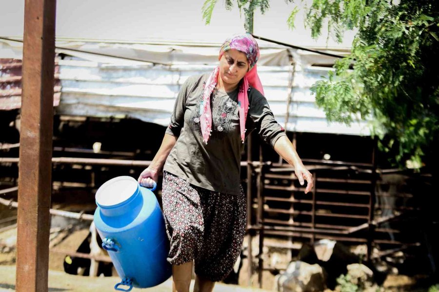 Evde Canı Sıkılan Kadın Hayvancılık İşine Girip 15 Yılda Servet Sahibi Oldu