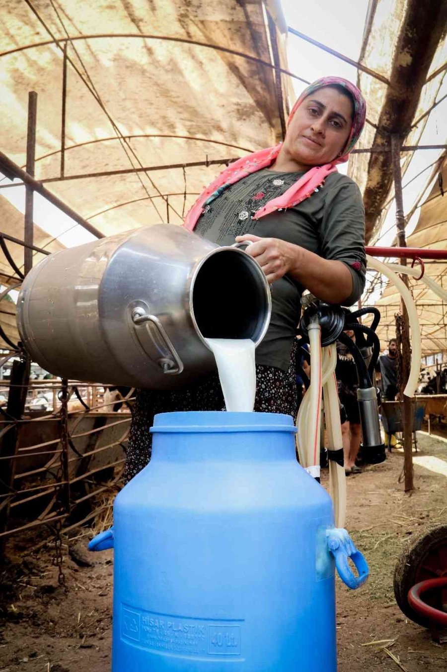 Evde Canı Sıkılan Kadın Hayvancılık İşine Girip 15 Yılda Servet Sahibi Oldu