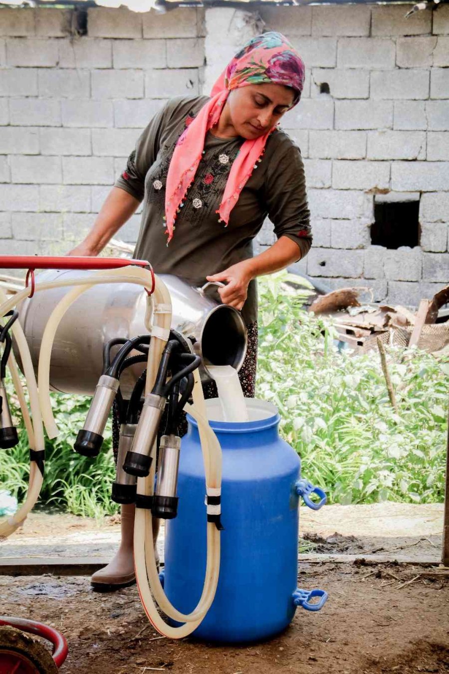 Evde Canı Sıkılan Kadın Hayvancılık İşine Girip 15 Yılda Servet Sahibi Oldu