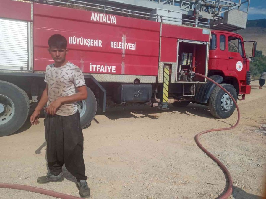 Alanya’da Tarım Arazisinde Başlayan Yangında 10 Dönüm Zarar Gördü